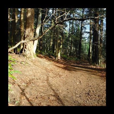 Friday Trails (on Saturday)