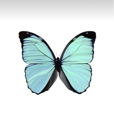 A comunicação !! ♥️🦋💙🙏🏻