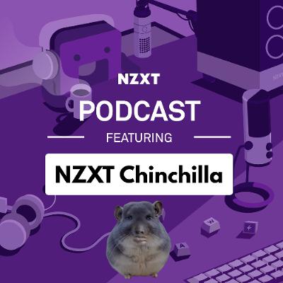 #205 - NZXTChinchilla Rates Your Setups! #205 - NZXTChinchilla Rates Your Setups!