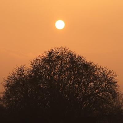 Ending daylight savings time