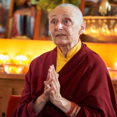 Co je cílem praxe buddhismu? Klidnější mysl a nebo něco jiného? - Džecünma Tändzin Palmo