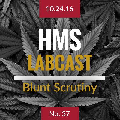 Blunt Scrutiny