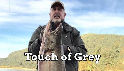 Always in Pursuit Episode Thirteen: Touch of Grey Always in Pursuit Episode Thirteen: Touch of Grey