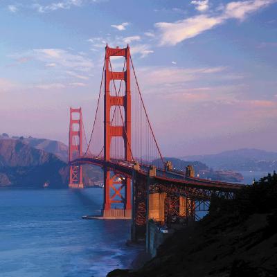 Los vinos increíbles de la bahía de San Francisco