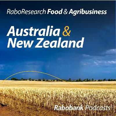 Global forces are impacting local prices: Grains and cotton in focus