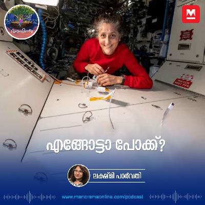 എങ്ങോട്ടാ പോക്ക്? | Female and Travel | So what podcast