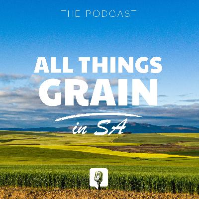 The State of Grain: Power, Policy & the Future of SA Food Security