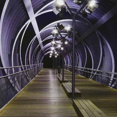English for Compradors on the Eve of the Final Enclosure [PREVIEW]: A Journey into TED Talk Hell