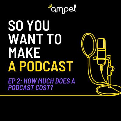 2. So You Want To Make A Podcast: How Much Does A Podcast Cost