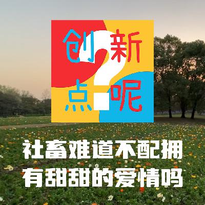 试播1：社畜难道不配拥有甜甜的爱情吗？/花束般的恋爱/坂元裕二/千年女优/爱情神话