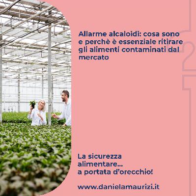 ST4_Ep.43 - Allarme alcaloidi: cosa sono e perchè è essenziale ritirare gli alimenti contaminati dal mercato