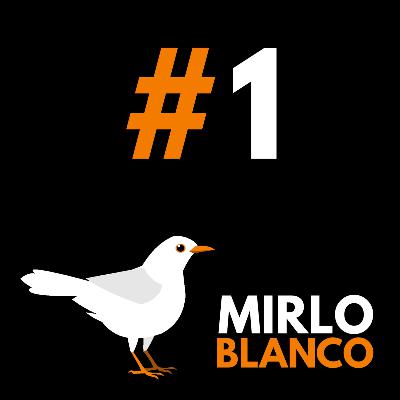 Flamenco, flamencos, Camarón y camarones #01