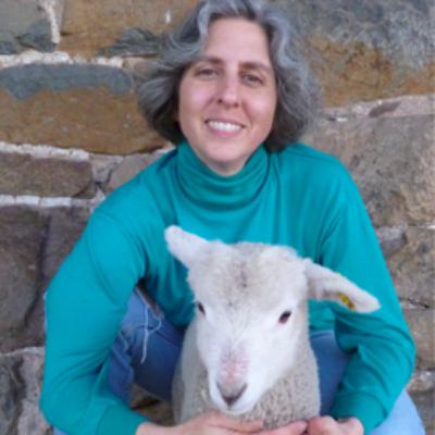 6.16 The Humans' Emotional Needs 6.16 The Humans' Emotional Needs