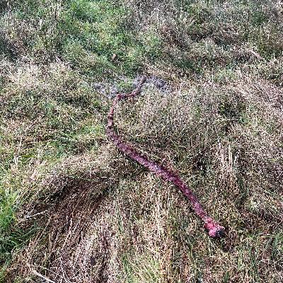 Roofbouw op de cultuur Roofbouw op de cultuur