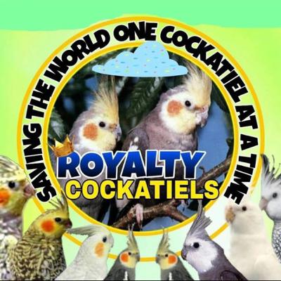 Royalty Cockatiels