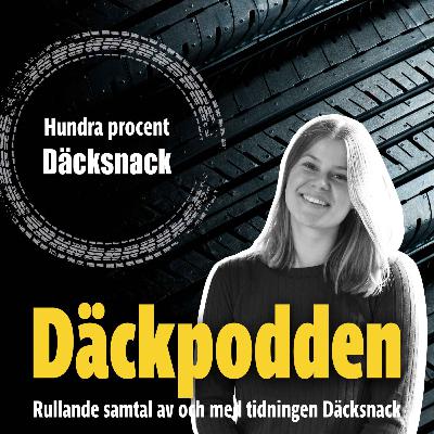 Vad utmärker ett elbilsdäck?