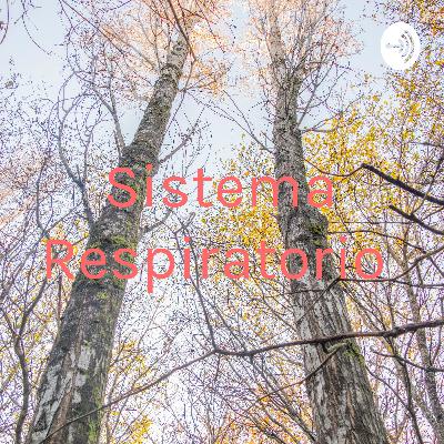 Enfermedades respiratorias