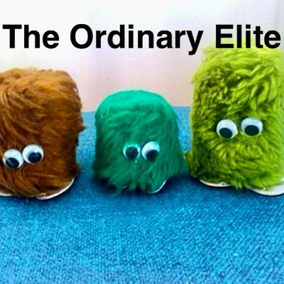The Ordinary Elite - E12 - Year in Review
