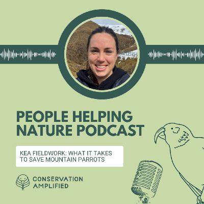 Kea Fieldwork: What it Takes to Save Mountain Parrots (part 2 with Lydia McLean) Kea Fieldwork: What it Takes to Save Mountain Parrots (part 2 with Lydia McLean)