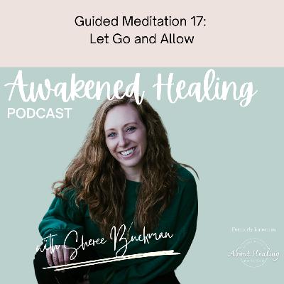 Guided Meditation 17: Let Go and Allow Guided Meditation 17: Let Go and Allow