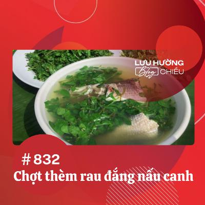 Chợt thèm rau đắng nấu canh | Lưu Hường blog chiều | Đài Hà Nội Chợt thèm rau đắng nấu canh | Lưu Hường blog chiều | Đài Hà Nội