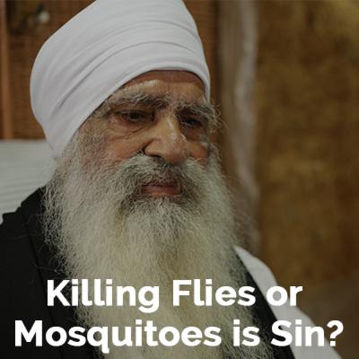 We kill Mosquitoes & Flies for our convenience. Is it a Sin? We kill Mosquitoes & Flies for our convenience. Is it a Sin?