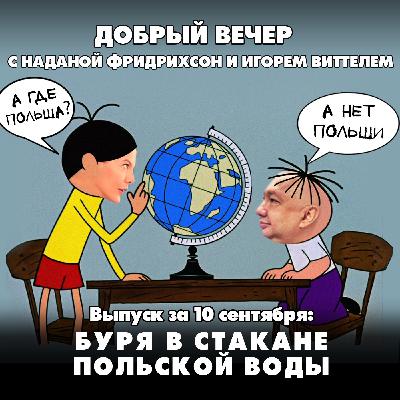 Буря в стакане польской воды: кто наслал дроны на Жешув