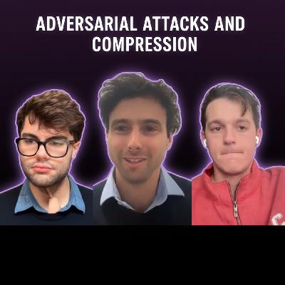 EP12:  Adversarial attacks and compression with Jack Morris