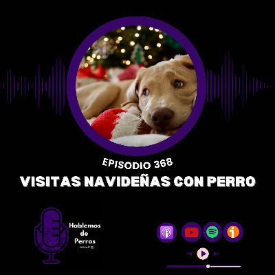 EP#368: Consejos para visitas navideñas con perro