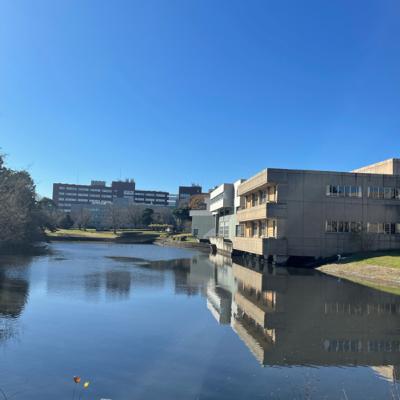 仕事シリーズ･社会的起業家編 路地裏寺子屋 rojicoya (2) 千住芸術祭から女性若手リーダーへ