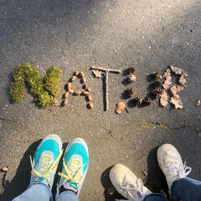 Ökosysteme und der Stoffkreislauf