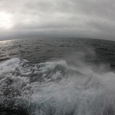 The Ship Report, Wednesday, November 5, 2025