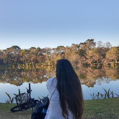 Distrações Distrações
