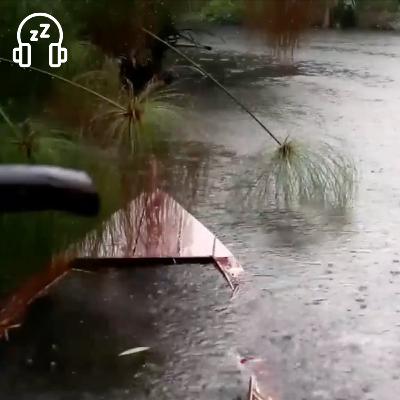 Relaxing Rain Sounds on the Lake for Sleep, Meditation, Study or Soothing a Baby