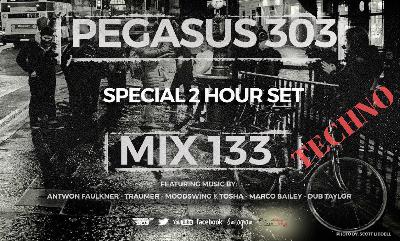 Techno Podcast | 2 Hour Set | Pegasus 303 Mix 133