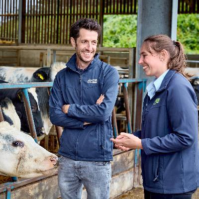 441: Resilient beef: Lucerne, herbal leys & mindset