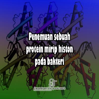 Penemuan sebuah protein mirip histon pada bakteri