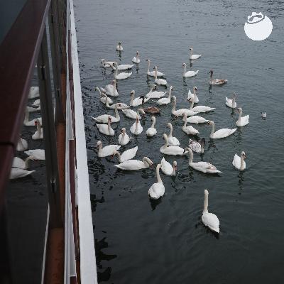 034 坐船旅行:自由和舒适不必是矛盾 034 坐船旅行:自由和舒适不必是矛盾