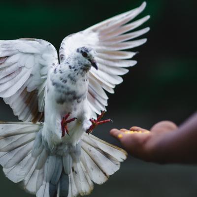 #93 - 🇪🇸 7. El Espíritu, el Poder y el Amor - Serie Espíritu Santo #93 - 🇪🇸 7. El Espíritu, el Poder y el Amor - Serie Espíritu Santo