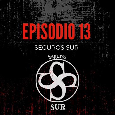 Episodio 13: SEGUROS SUR | Estrellas Anónimas