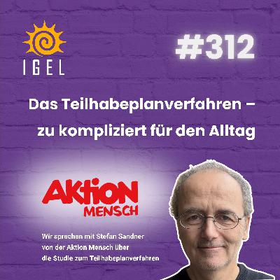 Das Teilhabeplanverfahren - zu kompliziert für den Alltag