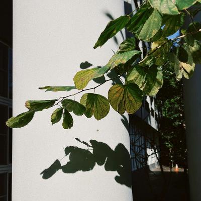 蛤!什麼媽媽之2025年3月的隨機錄音合輯(也才2段) 蛤!什麼媽媽之2025年3月的隨機錄音合輯(也才2段)