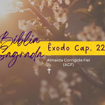 Bíblia Sagrada: Êxodo Cap. 22