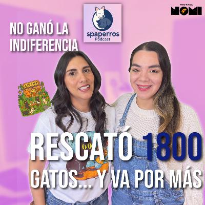 La persistencia de querer ser amado ft Eli ( Bastet Cat Café )