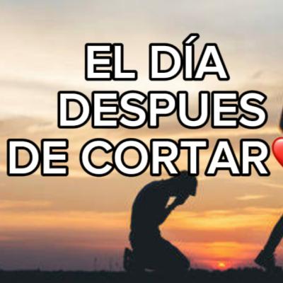 Lo más útil para el dia despues de cortar E19