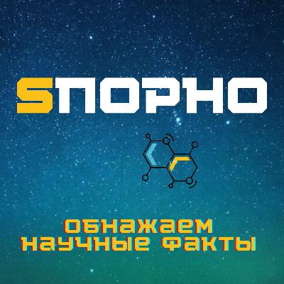 Кофе: пить или не пить?