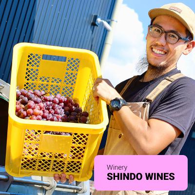 #11 【ワイン回】地域の特徴を個性に変える：阪本開さん（SHINDO WINES）