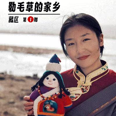 233 |藏区| 勒毛草的家乡 - 四季轮牧、转场、找羊、面片汤和妈妈的手