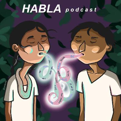 MIXTECO - (DAMIÁN GERARDO) MIXTECO - (DAMIÁN GERARDO)