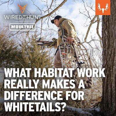 Ep. 1018: What Habitat Work REALLY Makes a Difference for Whitetails?